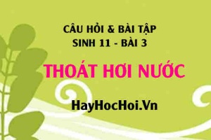 Câu hỏi và Bài tập Sinh 11 trang 19: Giải bài 1, 2, 3 trang 14 SGK Sinh học 11 bài học 3